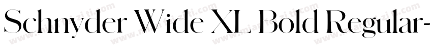 Schnyder Wide XL Bold Regular字体转换